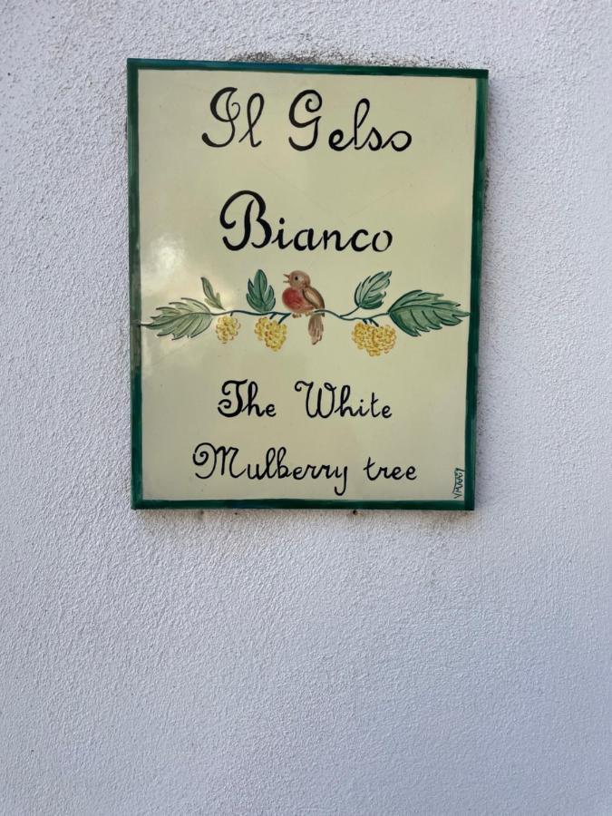 Il Gelso Bianco -The White Mulberry Tree Villa Ravello Exterior foto